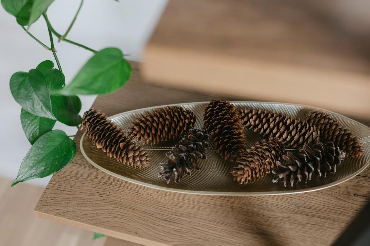 The Forest - Luxe Central Apt With Free Secured Parking Brasov Luaran gambar